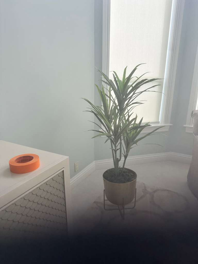 Bedroom corner with new paint and trim