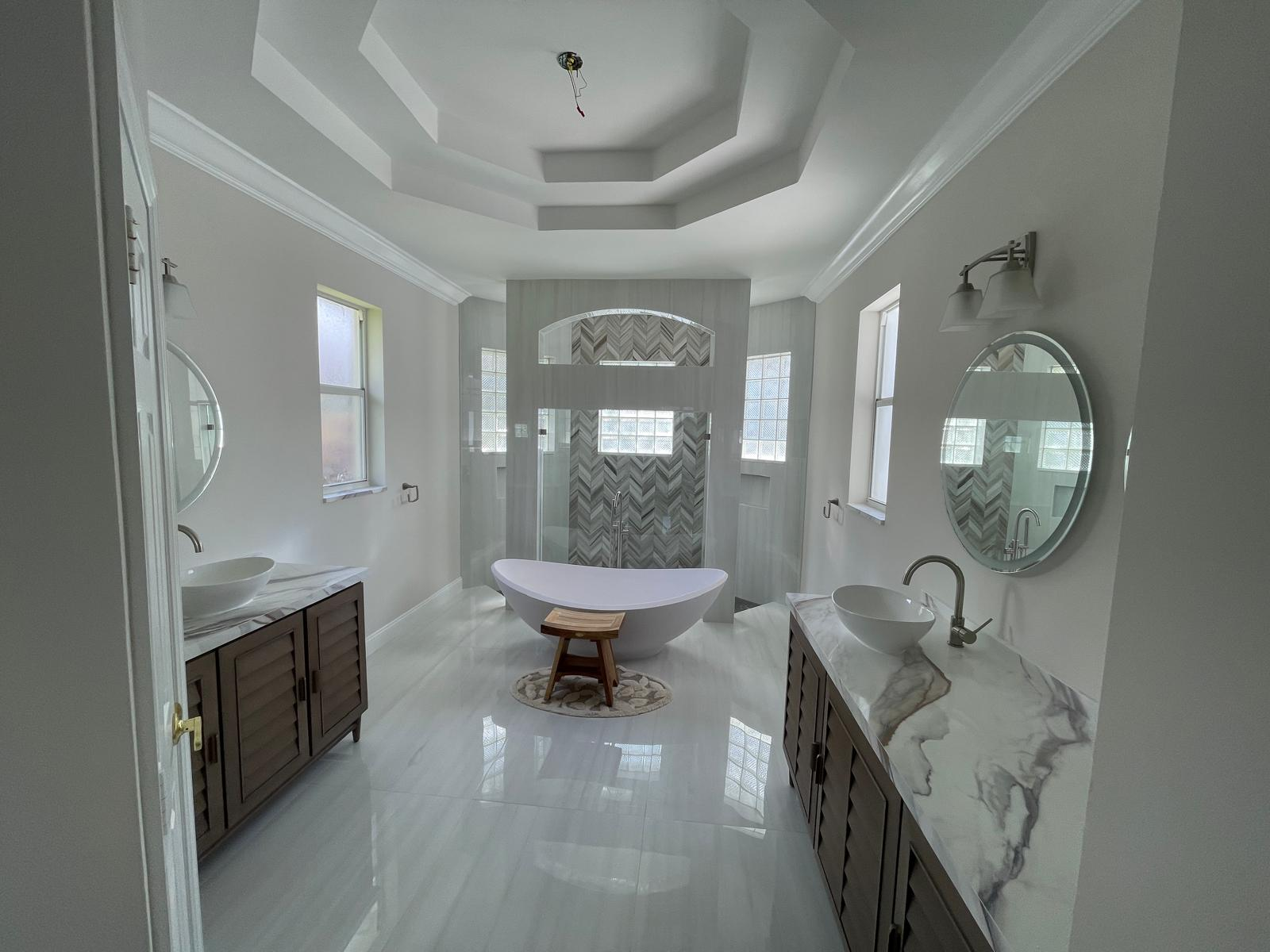 Luxury master bathroom with freestanding tub and tray ceiling